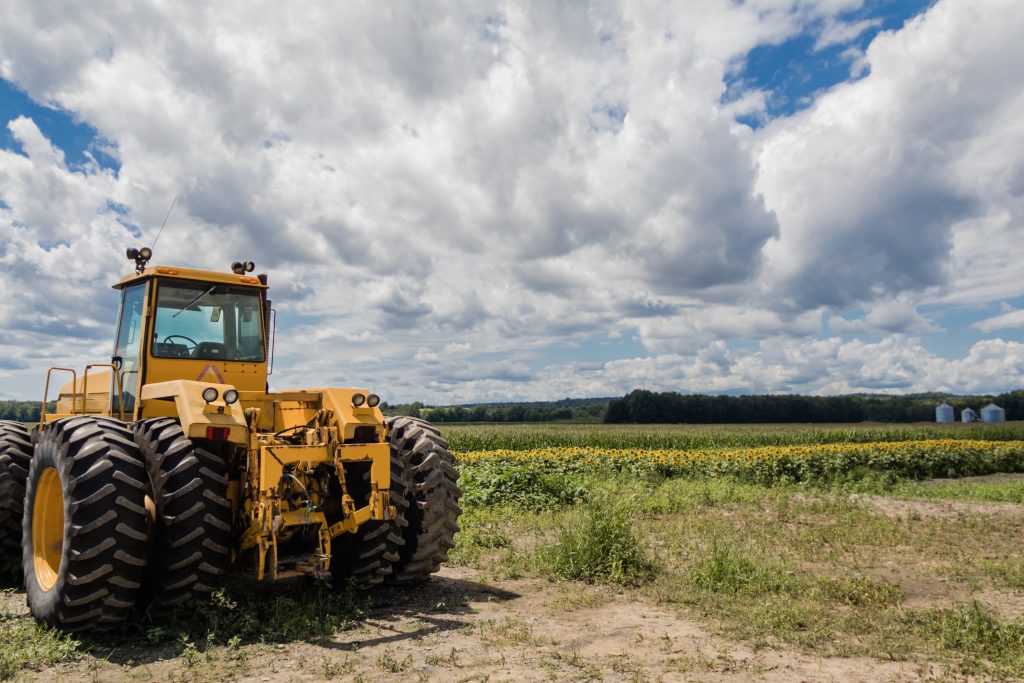 A big yellow tractor in the sunflower and cornfield under a blue cloudy sky